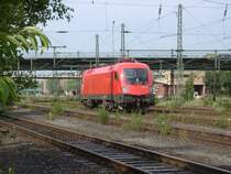 Da die �BB mehr Tauri geliefert bekam als sie im Mai einsetzten konnte, wurde 1116 131 an die Mittelweserbahn verkauft und tr�gt hier die Nummer 1116 911-7. Sie hat sich hier bis nach Wilhelmsburg verirrt.