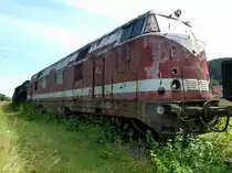 Deutsches Dampflokmuseum Bahnbetriebswerk Tuttlingen, V180, Diesellok aus der ehemaligen  DDR , oder was davon �brig ist, Juli 2015