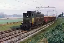 SBB: Seit dem 21. September  ist die Zuckerrübenkampagne 2015 voll im Gang. In den Zuckerrübenfabriken Aarberg und Frauenfeld wird wieder rund um die Uhr gearbeitet und am Tag und  l e i d e r  meist bei Nacht verkehren die langen Zuckerrübenzüge von SBB CARGO mit Re 420. Die Zuckerrüben, die von der Bahn nicht mehr transportiert werden, bringen die Landwirte mit ihren Fuhrwerken direkt nach Aarberg, was den bereits stark belasteten Strassenverkehr während den nächsten 3 Monaten zusätzlich behindert. Im Oktober 1995 wurden die Zuckerrüben aus der Region Büren an der Aare noch mit einer Ae 4/7 und zweiachsigen Güterwagen nach Aarberg geschleppt. Die Aufnahme, die an einem trüben und nebligen Morgen bei Busswil bei Büren entstanden ist, erinnert mich noch immer an den bekannten Bahnfotografen und Buchautor Hans Schneeberger. Kurze Zeit nachdem wir beide gemeinsam diesen Rübenzug verewigt hatten, ist er nämlich nur wenige Kilometer von dieser Fotostelle entfernt bei einem Autounfall in Lyss tödlich verunfallt. 
Foto: Walter Ruetsch
