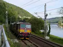  Knödelpresse  CD 372 013 mit einem Zug leerer Autotransporter in der Sächsischen Schweiz zwischen Kurort Rathen und Königstein in Richtung Tschechien; 22.09.2015

