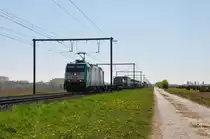 Gegenlichtaufnahme der HLE 2819 (186 211) mit ihrem Güterzug vom 21/04/2015 bei Tongeren.