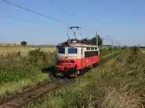 Die 242 259 am 28.08.2014 unterwegs bei Lužany.