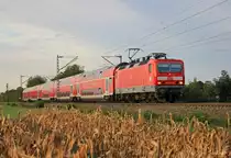 Eine Lady mit Dosto's auf der Rheintalbahn - kein alltäglicher Anblick. 143 332 beschleunigt am 24.09.2015 ihre RB26583 bei Kenzingen.