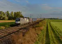 1116 141 mit einem Containerzug am 08.10.2015 bei Plattling. 
