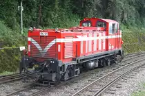 DL31 am 04.Juni 2014 in der Alishan Station.