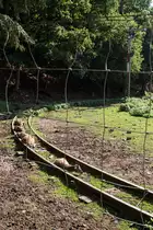 Sie kennen ihren Alltag - und das seit Jahren - . Ja ich denk, sie haben den Fahrplan ihrer Feldbahn, die des Eifelzoo´s Lünebach, inne. Die Rede ist von Europäischen Mufflons, Damwild weiterem Wild.

Zumindest unter der Woche verkehrt diese erst ab mittags um 13:00 Uhr und stellt eine besondere Attraktion für große und kleine Gäste dar: Ein mehrminütiger Zwischenhalt zum hautnahen Wild-Füttern läßt den Besuch zum Erlebnis werden. 

Im Hintergrund ein Formsignal als Attrappe, welches von der längst stillgelegten ex-DB-Strecke Pronsdorf - Waxweiler stammt. (26.08.15)