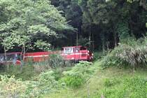 AFR DL50 am 05.Juni 2014 unterwegs mit Zug 38 von Chaoping Station nach Alishan Station zwischen den beiden Stationen.