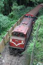 AFR DL43 (Nippon Sharyo, Baujahr 1982) am 05.Juni 2014 mit Zug 107 von der Sacred Tree Station kurz vor der Alishan Station.