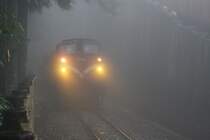 Im dichten Nebel fährt die AFR DL43 am 05.Juni 2014 mit Zug 113 von der Sacred Tree Station zu der Alishan Station.