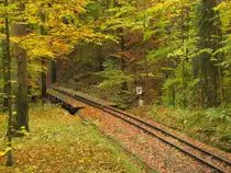 Die Br�cke der Parkeisenbahn Gera �ber den Martinsgrund, zwischen den Bahnh�fen Wolfsgehege und Martinsgrund am 22.10.2015.