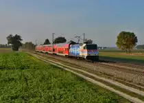 146 247 mit einem RE am 12.10.2015 bei Langenisarhofen. 