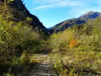 Wo einst Züge wie  Romulus ,  Gondoliere  und  San Marco  fuhren hat sich nach inzwischen 20 Jahren die Natur die Strecke zurück erobert. Hier zu sehen ist der ehemaligen Bahnhof Moggio an der alten Pontebbana (Blick in Richtung Carnia). Aufgenommen am 8.11.2015

