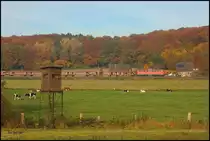 In der Bauernschaft Ibbenbüren - Laggenbeck war am 30.10.2015 139309 mit einem
Autotransportzug in Richtung Osnabrück unterwegs. 