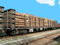 Rnooss-uz_31813522001-6 beladen mit Rundholzst�mmen, 
Bhf. RIED i.I. 070309