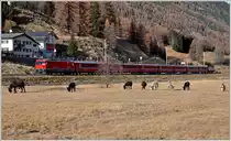 RE1141 nach St.Moritz mit der Ge 4/4 III 648  Susch  zwischen Bever und Samedan, mit einer  Eselsbrücke .(16.11.2015)