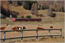 R1948 nach Scuol-Tarasp mit Ge 4/4 II 615  Klosters  zwischen Samedan und Bergün. (16.11.2015)