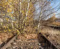 Das ehemalige Kohleentladegleis in Vacha wird seit Langem nicht mehr genutzt. Als die Einwohner noch mit Kohle heizten und die Fernwärme zu den einzelnen Haushalten noch nicht verbreitet war, sah dies anders aus. 