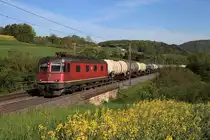 Re 6/6 11645 erklimmt den Bözberg bei Hornussen, 04.05.2012.