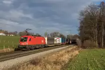 1116 194 mit einem KLV am 28. November 2015 bei Vogl.