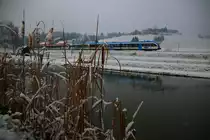 Einen kurzen Wintereinbruch konnten wir in der vergangenen Woche erleben. Hier im Bild R8553 bei den Kresteichen am 24.11.2015