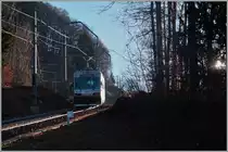 Der CEV Beh 2/4 71 mit seinem Bt ist als  Trains des Etoiles  bei Kilometer 2.3 zwischen Blonay und Les Pléiades unterwegs.
23. Dez. 2015