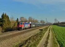 Re 421 395 mit einem Autozug am 28.12.2015 bei Langenisarhofen. 