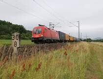 1116 276 mit Containerzug in Fahrtrichtung Norden. Aufgenommen bei Harrbach am 10.07.2014. 