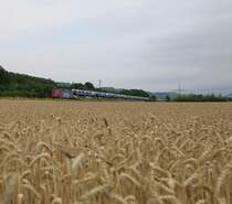 Ein Blick über's Kornfeld. 421 373-2 mit Autotransportwagen in Fahrtrichtung Norden. Aufgenommen am 10.07.2014 bei Harrbach. 
