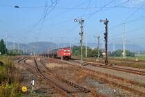 185 253 steht am Morgen des 30.08.2015 mit einem Kesselzug abgestellt in Bleicherode Ost