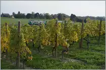 Kurz vor Vufflens le Château konnte ich den BAM Regionalzug 142 inmitten von Reben fotografieren. 
20. Okt. 2015