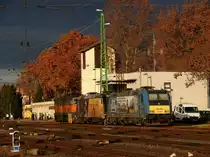 Zwei Werbelok von MÁV Start: 480 001  Kandó Kálmán  und 480 005  Mátyás király  in Bf. Komárom. 11.11.2015.