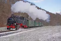 Auch am 16.01.16 war ich an der Weißeritztalbahn. Hier erreicht der fast leere Zug gezogen von 99 1771 gerade Dippoldiswalde.