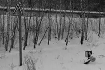 Dank des tüchtigen Schneefalls im Bayerischen Walds ließ sich am 17.01.2016 nur erahnen, wo im Bahnhof Regen ein Gleis liegt.