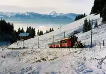 TPC/BVB: Sportzug auf der Fahrt nach Bretaye im Dezember 1994. Die Pendelzüge aus dem Jahre 1977 mit den BDeh 4/4 81 und 82 stehen auch im Jahre 2016 noch im täglichen Einsatz.
Foto: Walter Ruetsch