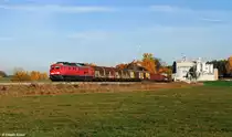 233 367 mit Güterzug am 01.11.2015 bei Thansüß.