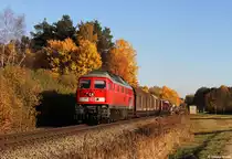 233 367 mit Güterzug am 01.11.2015 bei Freihung.