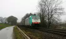 Die Cobra 2816  kommt die Gemmenicher-Rampe herunter nach Aachen-West mit einem kurzen gemischten Güterzug aus Antwerpen-Noord(B) nach Köln-Gremberg(D). 
Aufgenommen an der Gemmenicher-Rampe am Gemmenicher-Weg an der Montzenroute. 
Bei Niselregen am Mittag vom 23.1.2016.