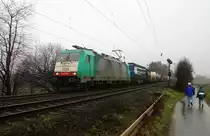Die Cobra 2828 kommt aus Richtung Aachen-West und fährt die Gemmenicher-Rampe hochgefahren mit einem langen Containerzug aus Gallarate(I) nach Antwerpen-Oorderen(B) und fährt in Richtung Montzen/Belgien. Aufgenommen an der Montzenroute am Gemmenicher-Weg.
Bei Niselregen am Vormittag vom 23.1.2016. 