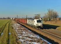 193 610 mit einem Holzzug am 26.01.2016 bei Plattling. 