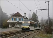 Für den letzten Regionalzug-Mittag-zwischen-Umlauf (Montreux - 2332 Chernex - Leermat. Montreux) setzte die MOB überraschend den lange von mir in Blonay vermissten CEV GTW Be 2/6 7003  Blonay  ein, hier beim Halt in Fontanivent.
Doch trotz des Nebels habe ich noch ein paar Bipperlise-Bilder auf Vorrat...
5. Feb. 2016