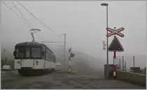 Während das Bipperlisi den Nebel wohl gewohnt ist, ich bin es nicht mehr und es war nicht einfach, bei der Bildgestaltung auf See und Berge zu verzichten...
MOB Be 4/4 1006 als Regioanlzug 2331 von Fontanivent nach Montreux bei Planchamp am 5. Feb. 2015.
