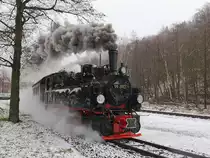 99 5901 bei der Ausfahrt am 31. Januar 2016 aus dem Bahnhof  Alexisbad.
