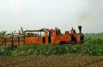 Nr. 3  Pangka  05.08.04