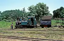 Nr. 8  Pangka  13.08.95