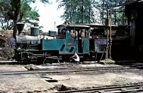 Nr. 9  Pangka  13.08.95