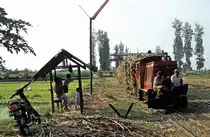 D 11  Pangka  05.08.04