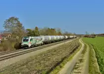 1116 130 mit einem Kesselzug am 22.02.2016 bei Langenisarhofen.