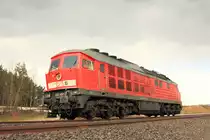 233 452-2 DBSR bei Marktleuthen am 25.02.2016.