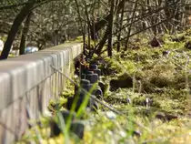 Viel Moos, nix los am stillgelegten Anschlussgleis in Grevenbroich. Hier fuhr seit mehr als 30 Jahren kein Zug mehr da heute alles per LKW angeliefert wird.

Grevenbroich 27.02.2016