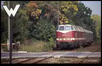 Stollberg in Sachsen am 25.9.1993: Um 13.18 Uhr fährt 228762 mit P 5923 ein.
